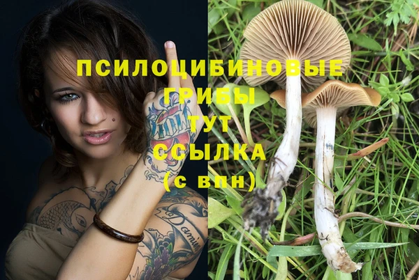 таблы Абдулино