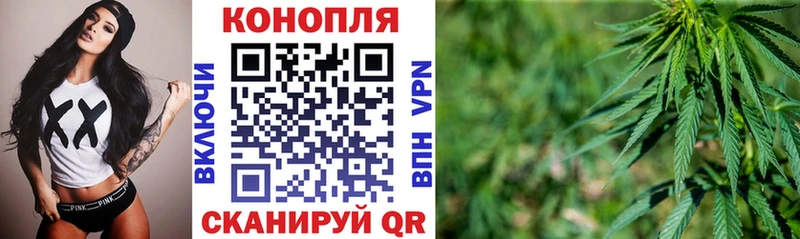 гидра ссылка  Чайковский  Марихуана SATIVA & INDICA 